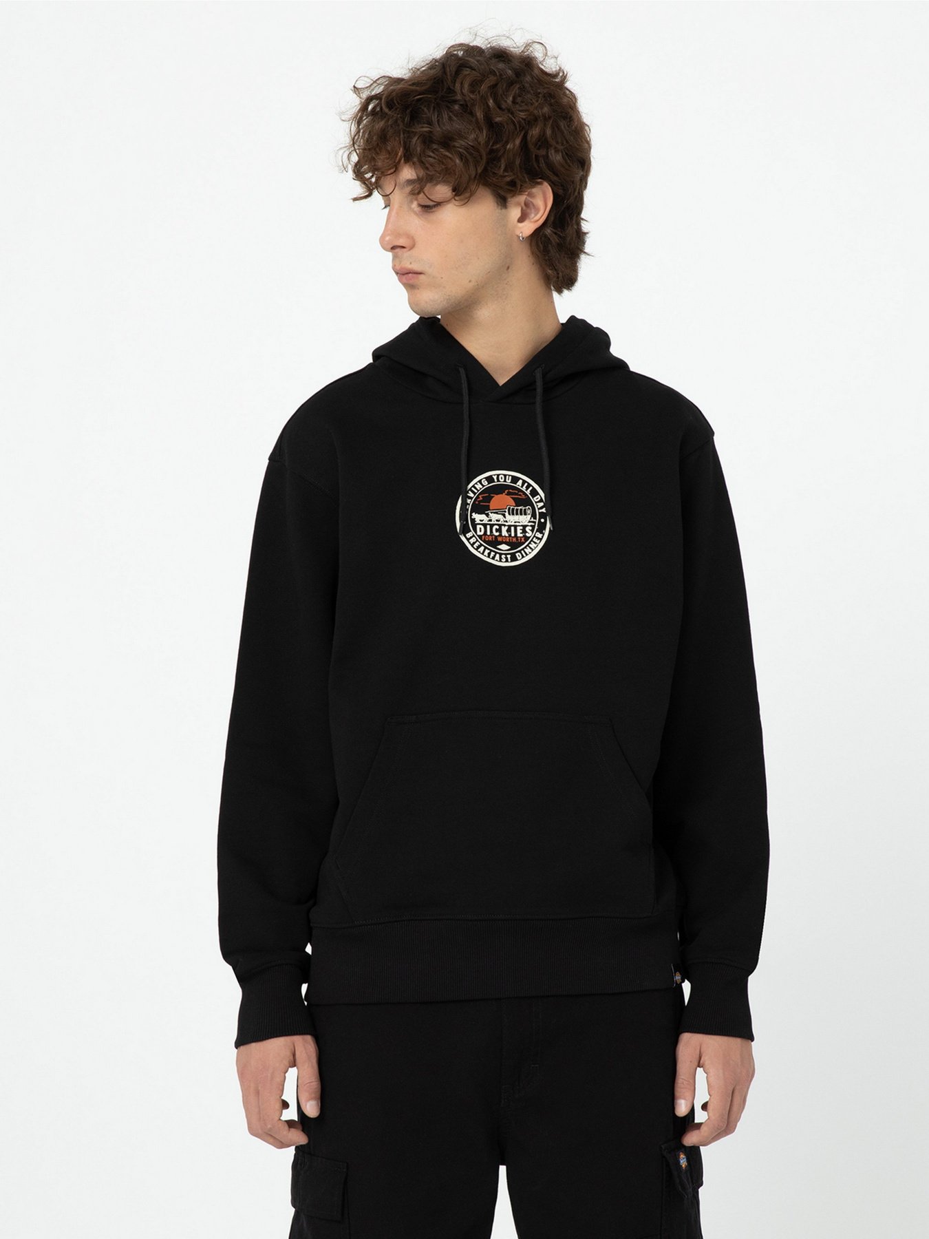 Худи Dickies Greensburg модель DK0A4YEKBLK1 Фото