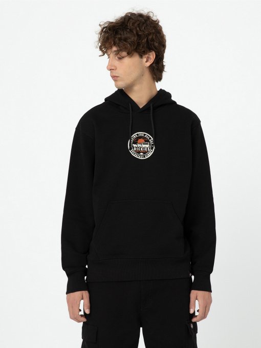 Худі Dickies Greensburg модель DK0A4YEKBLK1 Фото