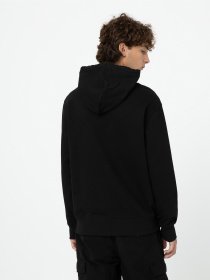 Худі Dickies Greensburg модель DK0A4YEKBLK1 Фото