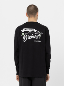 Лонгслив Dickies Dighton модель DK0A4YFFBLK1 Фото