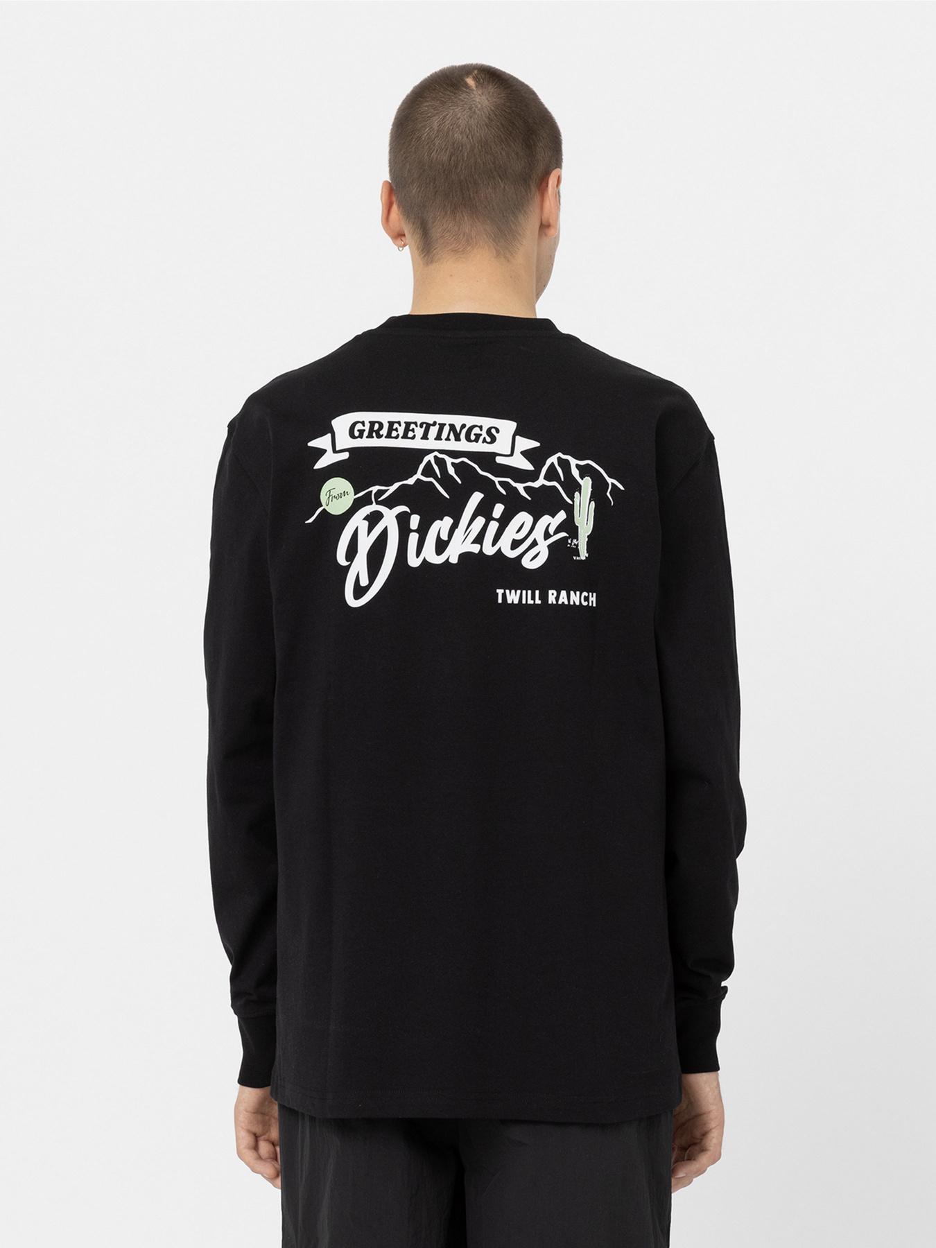 Лонгслів Dickies Dighton модель DK0A4YFFBLK1 Фото