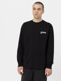 Лонгслів Dickies Dighton модель DK0A4YFFBLK1 Фото