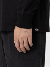 Лонгслів Dickies Dighton модель DK0A4YFFBLK1 Фото