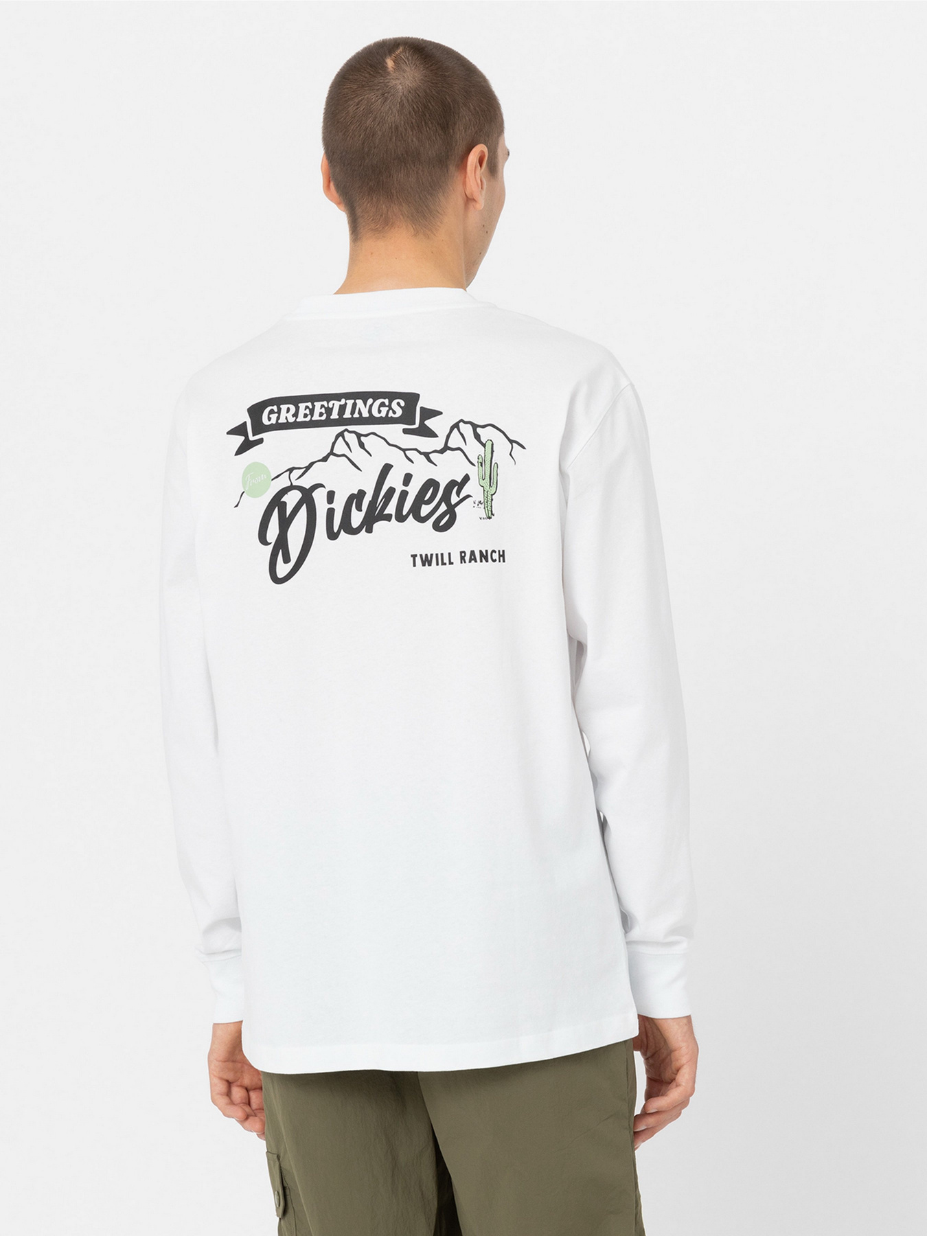 Лонгслив Dickies Dighton модель DK0A4YFFWHX1 Фото