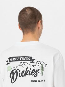 Лонгслив Dickies Dighton модель DK0A4YFFWHX1 Фото