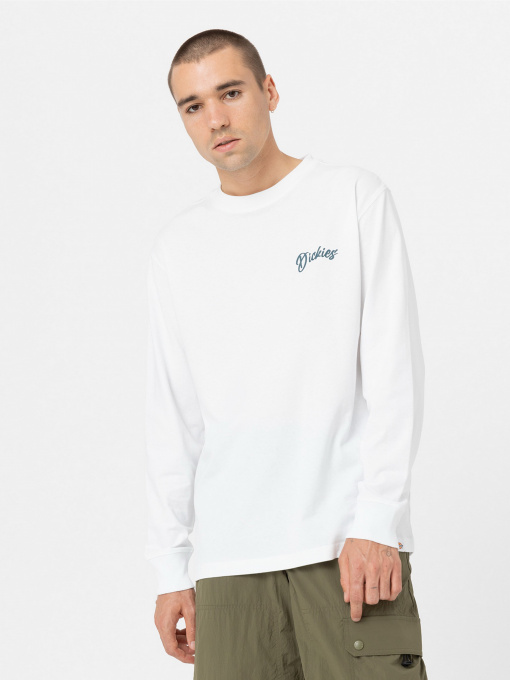 Лонгслів Dickies Dighton модель DK0A4YFFWHX1 Фото