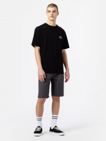 Футболка Dickies Fort Lewis модель DK0A4XO7BLK1 Фото