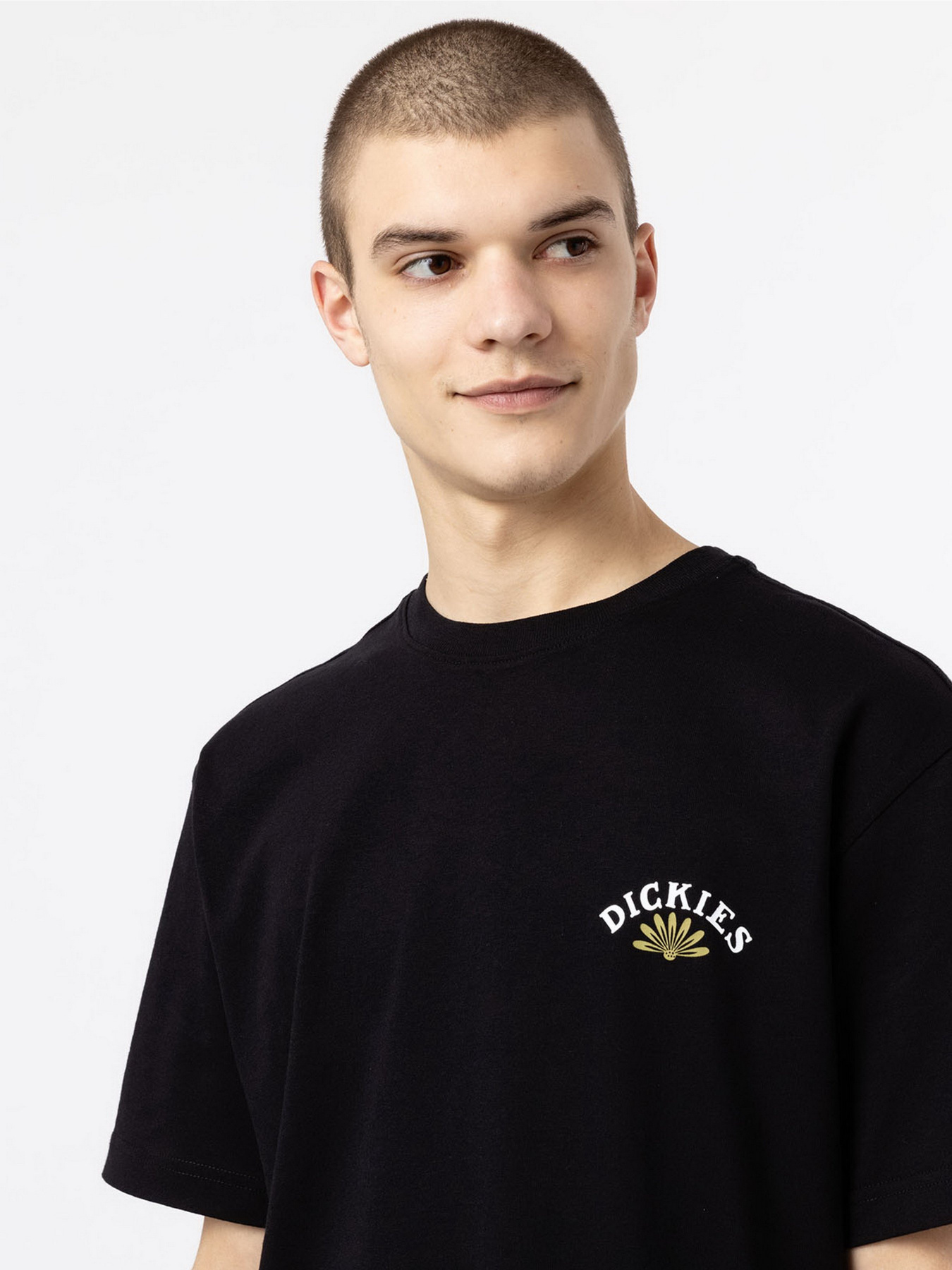 Футболка Dickies Fort Lewis модель DK0A4XO7BLK1 Футболка Dickies Fort Lewis модель DK0A4XO7BLK1 Фото