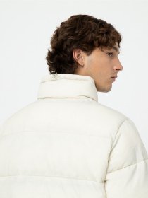 Зимова куртка Dickies Waldenburg модель DK0A4XP2F901 Фото