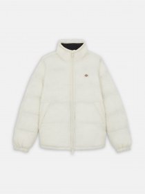 Зимова куртка Dickies Waldenburg модель DK0A4XP2F901 Фото