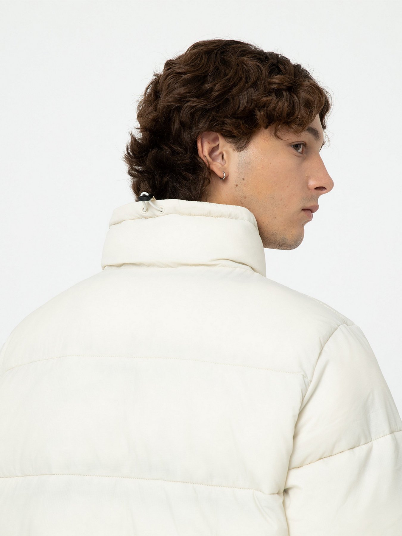 Зимняя куртка Dickies Waldenburg модель DK0A4XP2F901 Фото