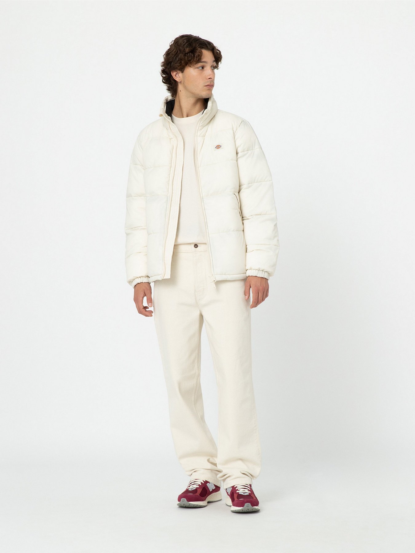 Зимняя куртка Dickies Waldenburg модель DK0A4XP2F901 Фото