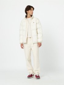 Зимняя куртка Dickies Waldenburg модель DK0A4XP2F901 Фото