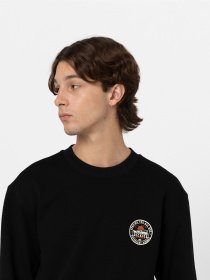 Свитшот Dickies Greensburg модель DK0A4YEJBLK1 Фото