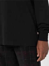 Свитшот Dickies Trooper модель DK0A4YGHBLK1 Фото