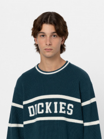 Джемпер Dickies Melvern модель DK0A4YMCF971 Фото