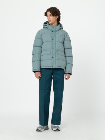 Зимняя куртка Dickies Glacier View модель DK0A4Y3WG071 Фото