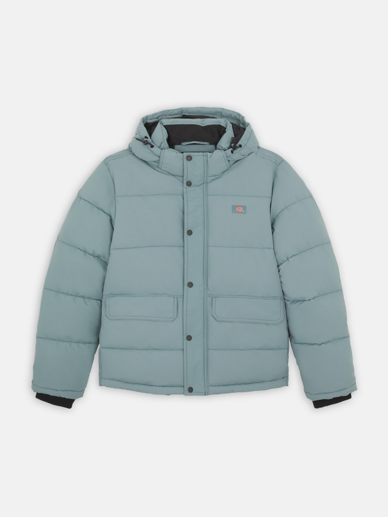 Зимова куртка Dickies Glacier View модель DK0A4Y3WG071 Фото