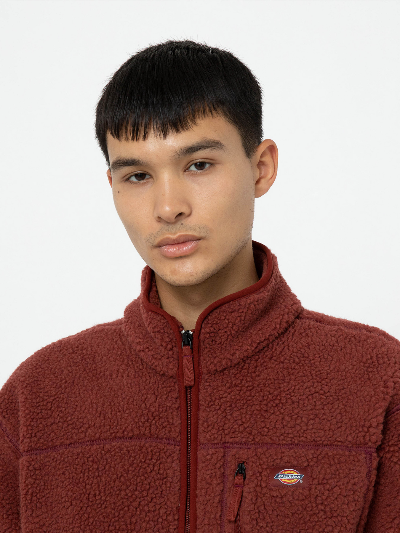 Флісова кофта Dickies Mount Hope Fleece модель DK0A4YEEG041 Фото