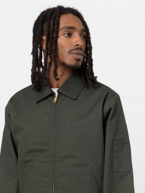 Демисезонная куртка Dickies Lined Eisenhower модель DK0A4XK4OGX1 Фото