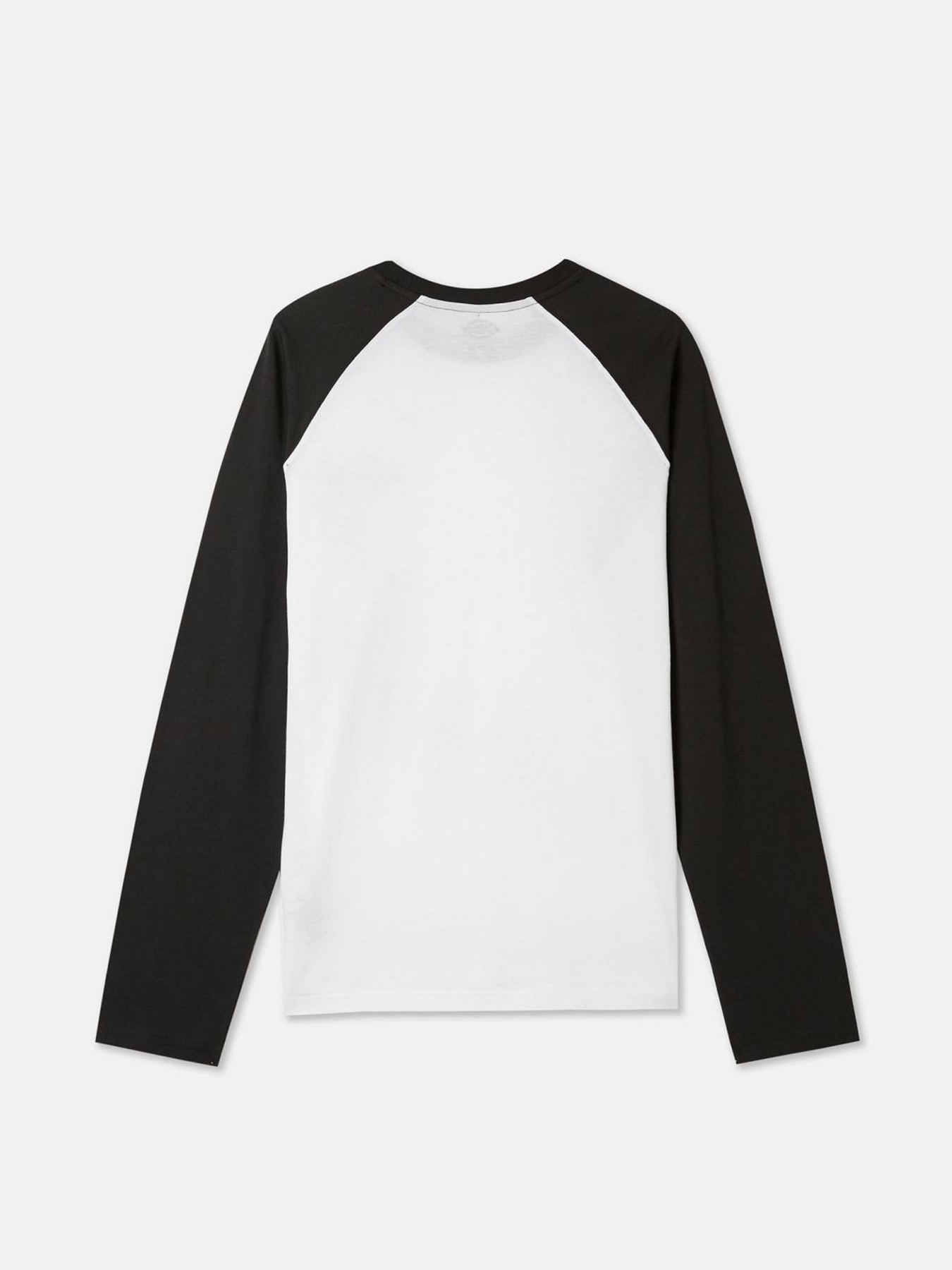 Лонгслив Dickies LS Cologne модель DK0A4XDFBLW1 Фото