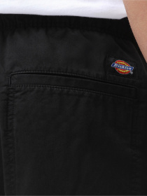 Повсякденні шорти Dickies Pelican Rapids модель DK0A4XB2BLK1 Фото