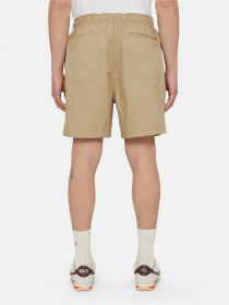Шорти Dickies Pelican Rapids модель DK0A4XB2DS01 Фото