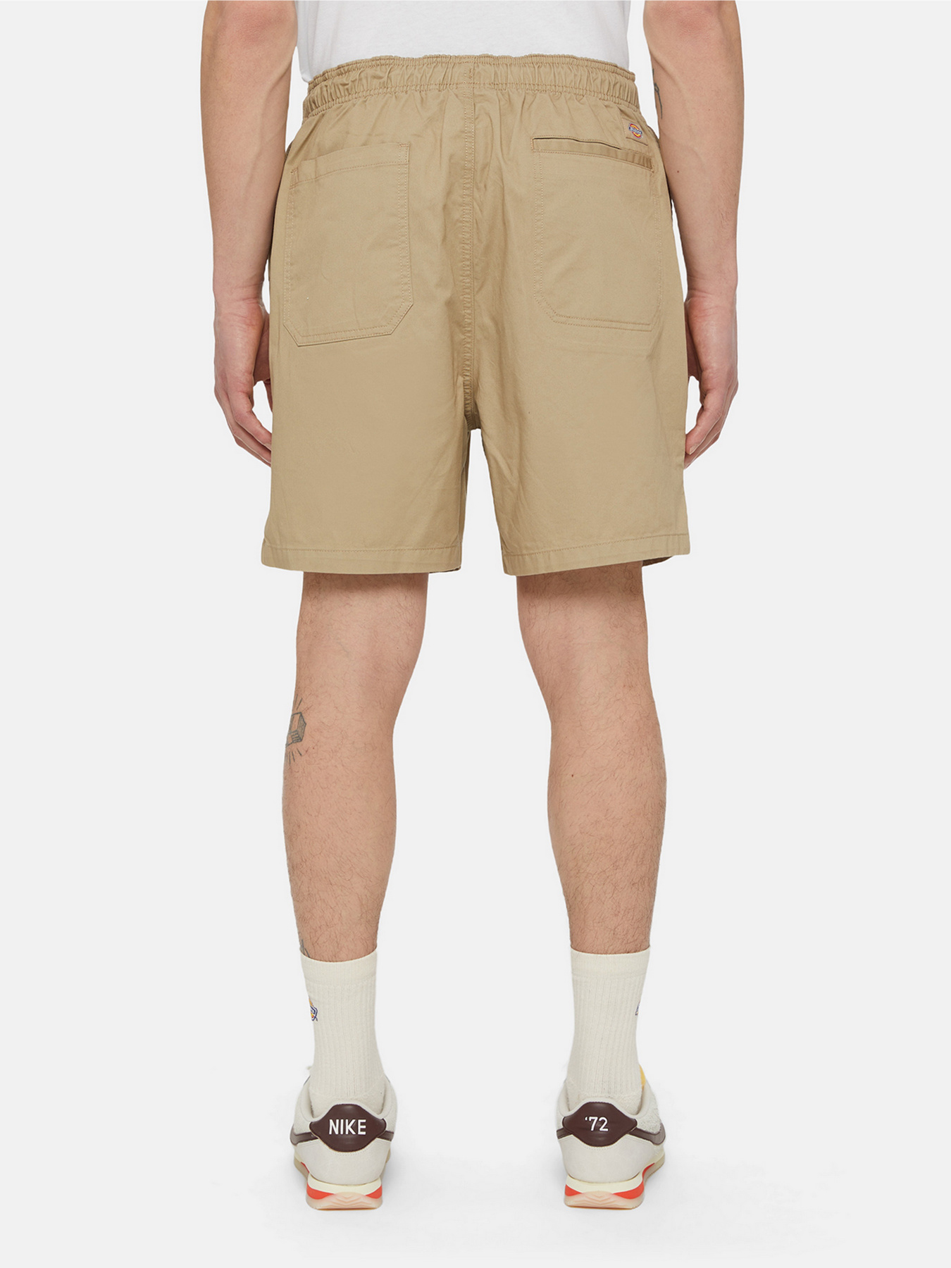 Повсякденні шорти Dickies Pelican Rapids модель DK0A4XB2DS01 Фото