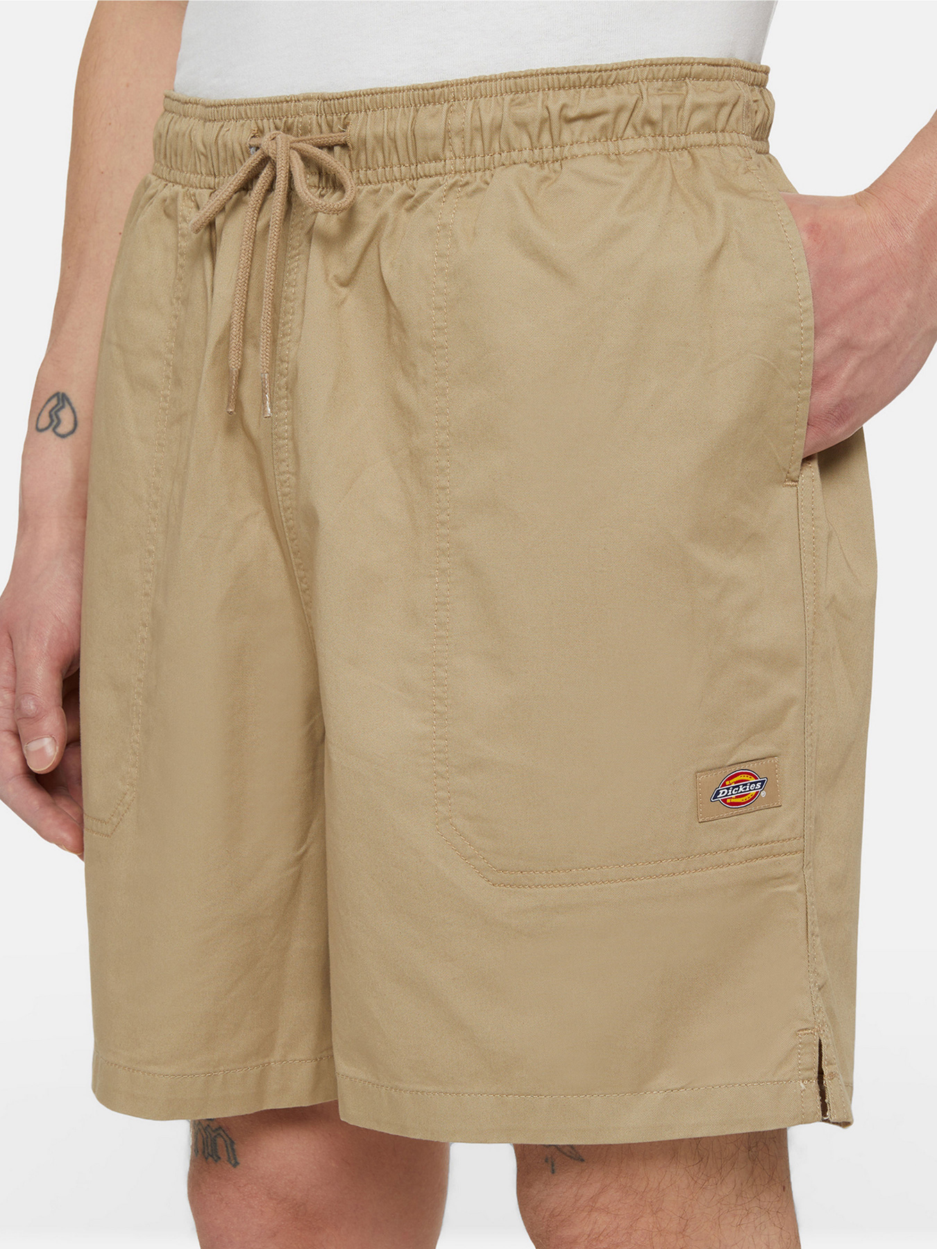 Повсякденні шорти Dickies Pelican Rapids модель DK0A4XB2DS01 Фото