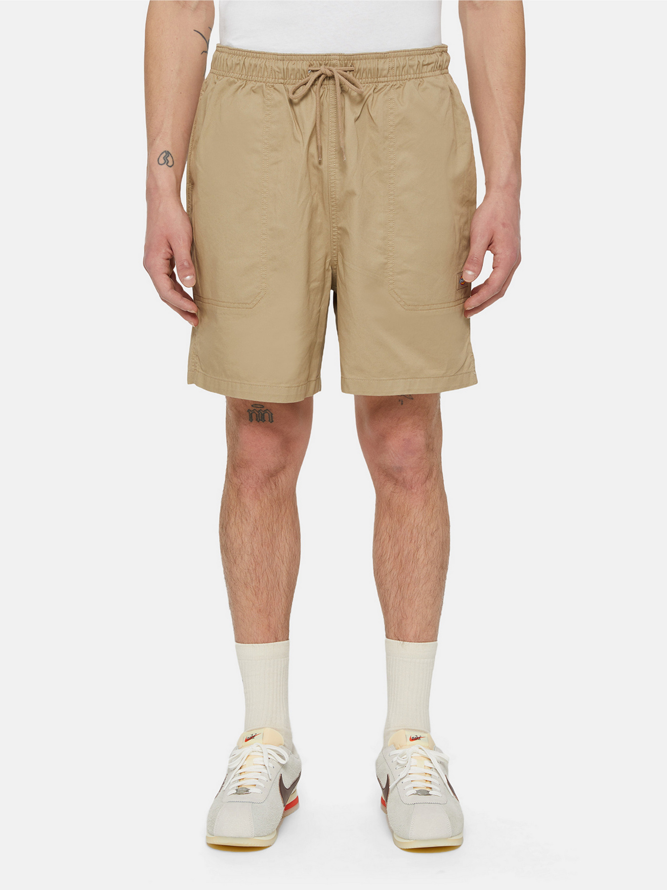 Повсякденні шорти Dickies Pelican Rapids модель DK0A4XB2DS01 Фото