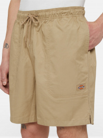 Повсякденні шорти Dickies Pelican Rapids модель DK0A4XB2DS01 Фото
