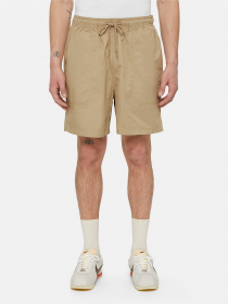 Повсякденні шорти Dickies Pelican Rapids модель DK0A4XB2DS01 Фото