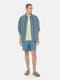 Шорти Dickies Pelican Rapids модель DK0A4XB2H171 Фото