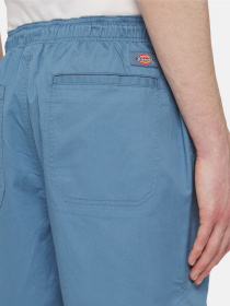 Повсякденні шорти Dickies Pelican Rapids модель DK0A4XB2H171 Фото