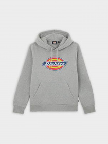 Худі Dickies Icon Logo модель DK0A4XCBGYM1 Фото