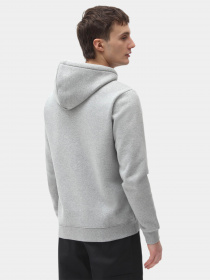 Худи Dickies Icon Logo модель DK0A4XCBGYM1 Фото