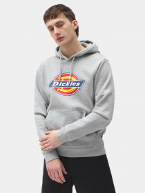 Худи Dickies Icon Logo модель DK0A4XCBGYM1 Фото