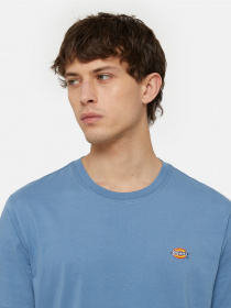 Футболка Dickies SS Mapleton модель DK0A4XDBH171 Фото