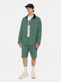 Демисезонная куртка Dickies Duck Lined Chore модель DK0A4XMJH691 Фото