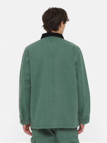 Демисезонная куртка Dickies Duck Lined Chore модель DK0A4XMJH691 Фото