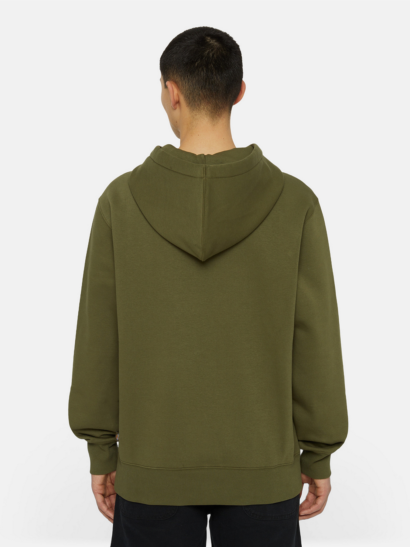 Худи Dickies Summerdale модель DK0A4Y6PMGR1 Фото