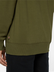 Худі Dickies Summerdale модель DK0A4Y6PMGR1 Фото