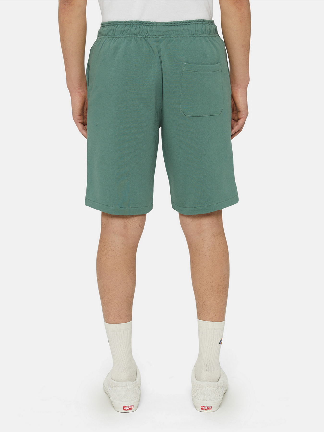 Шорти Dickies Mapleton модель DK0A4Y83H151 Фото