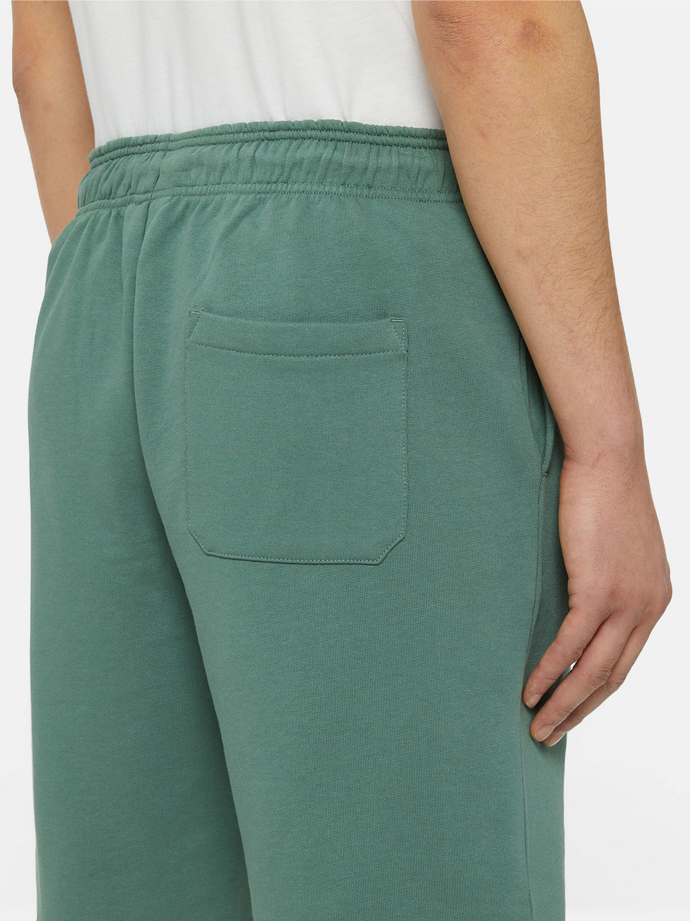 Шорти Dickies Mapleton модель DK0A4Y83H151 Фото