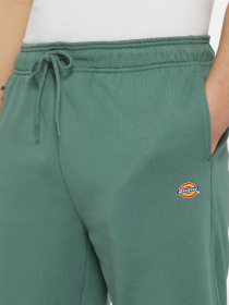 Шорти Dickies Mapleton модель DK0A4Y83H151 Фото