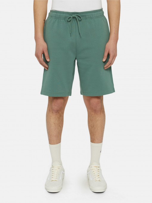 Повсякденні шорти Dickies Mapleton модель DK0A4Y83H151 Фото