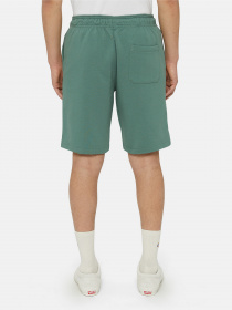 Повсякденні шорти Dickies Mapleton модель DK0A4Y83H151 Фото