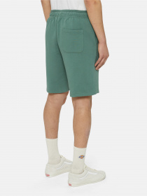 Повсякденні шорти Dickies Mapleton модель DK0A4Y83H151 Фото