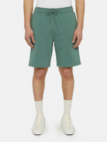 Повсякденні шорти Dickies Mapleton модель DK0A4Y83H151 Фото