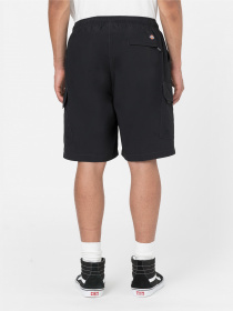 Повседневные шорты Dickies Jackson Cargo модель DK0A4YACBLK1 Повседневные шорты Dickies Jackson Cargo модель DK0A4YACBLK1 Фото